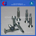 Customized Made Widely Use Best Price Screws Stainless Steel